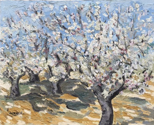 Cerisiers en fleurs huile sur toile Format 12F- 61x50