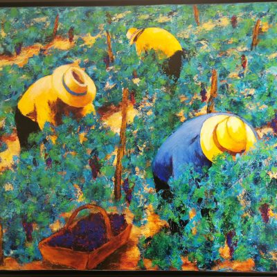 La saison des vendanges