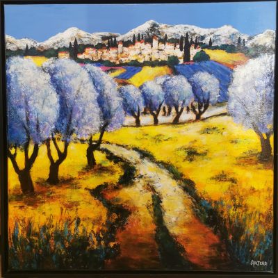 Balade en Provence