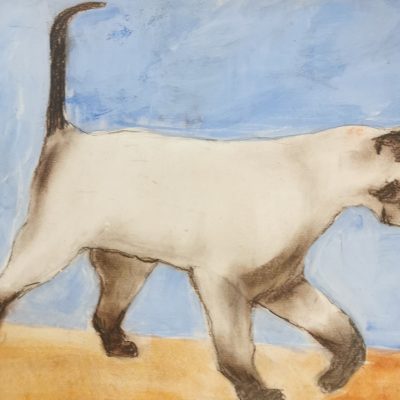 Le chat de Nézignan
