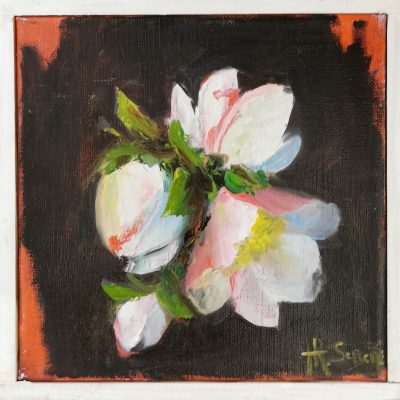 Trois boutons de Rose de Noël